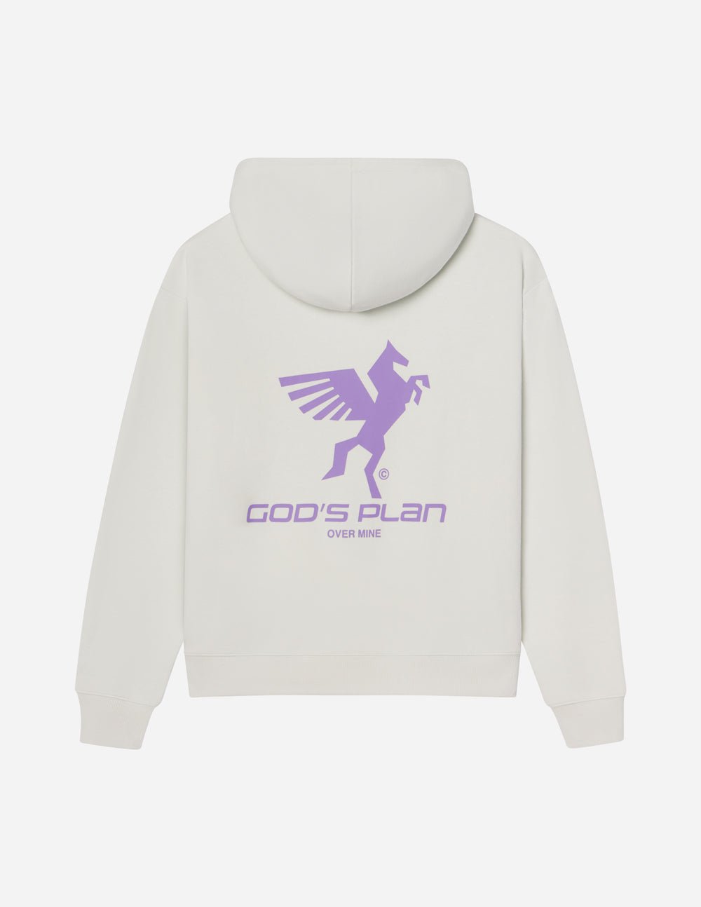 God's Plan Racing Unisex Hoodie - Trendy